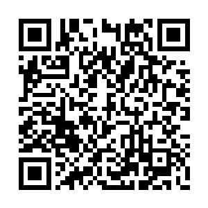 每一部典籍的内容全部都清楚的记忆在脑海之中二维码生成