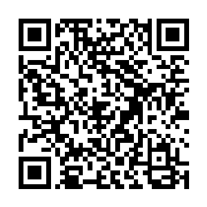 每一面中都有一头实力达到结丹期水平的鬼将作为幡灵二维码生成