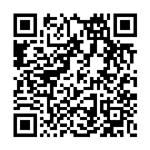 每一颗白玉珠子都是以高度浓缩之后的灵气所化二维码生成