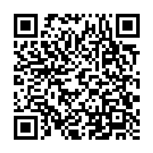 每一颗紫云果大概相当于一滴他之前服用的灵液的所含的能量二维码生成