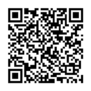 每个与会同志都上交了一份各自分管地区的农业发展报告二维码生成