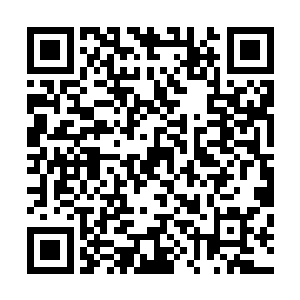 每个人将额外获得一套玄品顶阶本源圣器级别的铠甲和飞剑二维码生成