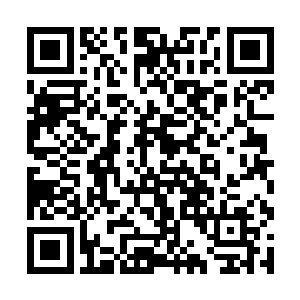 每个人每天的工作表现直接与月底的工资绩效相挂钩二维码生成