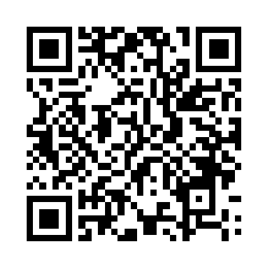 每个人每天的工作量都被压的死死的二维码生成