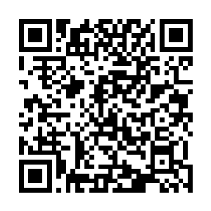 每个人物到底经历了什么故事就成功的引起了观众的注意二维码生成