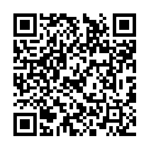 每个人的光幕上都浮起了一副副半透明的立体图像二维码生成