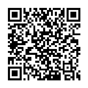 每个人的右手背上插着一把薄如蚕翼的寸长飞刀二维码生成