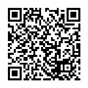 每个人的手中都抓着两把不怕火焰的铁木藤的种子二维码生成