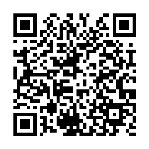 每个人的目光都好像被那道巨大的刀芒给吸引住了二维码生成