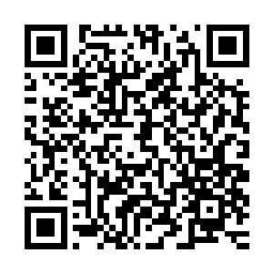 每个人的瞳孔深处都蹦跳着一个大大的问号和一个更大的惊叹号二维码生成
