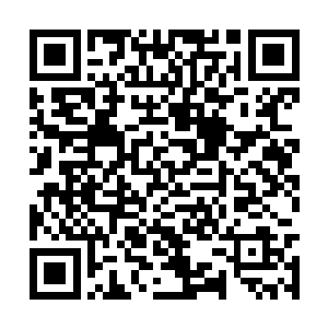 每个人的脸上都带着一股浓浓的兴奋和崇拜的表情二维码生成