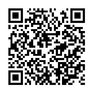 每个人都从它的虎眼中看到了来自地府深处的寒意二维码生成