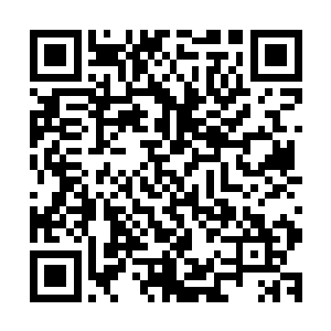 每个人都以为玉成子的目的是建立一个统一的天道下修界秩序二维码生成
