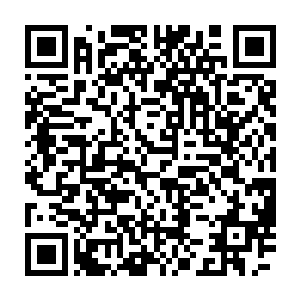 每个人都发现这个才出不久的坦克型辅助无论是在线上还是团战时二维码生成