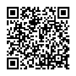 每个人都可以领一桶油橄榄油和一张毛巾……哦对了二维码生成