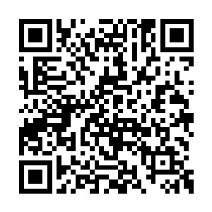 每个人都知道方运与龙族和古妖有着密切的关系二维码生成