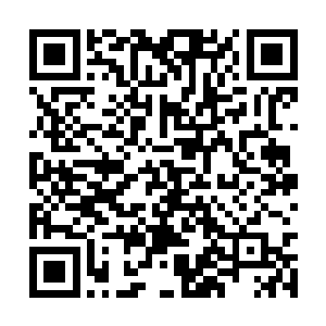 每个人都觉得自己仿佛是被致命的毒蛇盯上了一般二维码生成