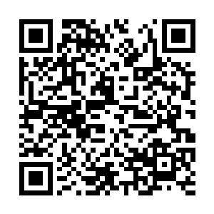 每个修士心中都认为这就是突破圣级大圆满的途径二维码生成