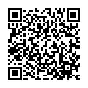 每个关节部位都要配备各种不同型号不同功率的引擎进行辅助二维码生成