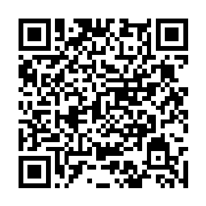 每个参赛的选手都能想办法凑到全套中级顶尖秘宝二维码生成