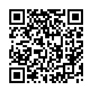 每个品牌的专卖店内都摆放着最新款的玩具二维码生成