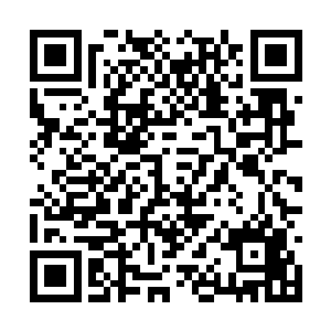 每个园子里仅仅留有几名长期打扫卫生的仆人而已二维码生成