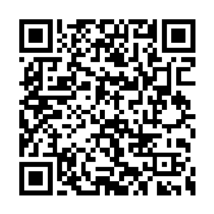 每个圣级大修士在他的一生中一定有过几次顿悟二维码生成