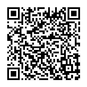 每个多灵根一系的弟子身边或多或少都会有一些十二嫡系血脉弟子二维码生成