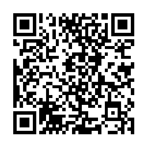 每个平板车上都放着一条车去了尾巴和鱼鳍的金枪鱼二维码生成