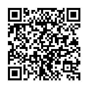 每个年青人都认为凭自己的本事可以在大都市里闯出一片儿天二维码生成