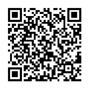 每个成员的左边臀部有个指甲盖大小的梅花形状胎记二维码生成