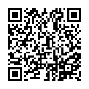 每个机甲团每年都有一次机会向某个机甲团挑战二维码生成