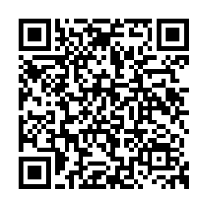 每个格子壁上用牛筋带固定住的步枪和手枪……二维码生成