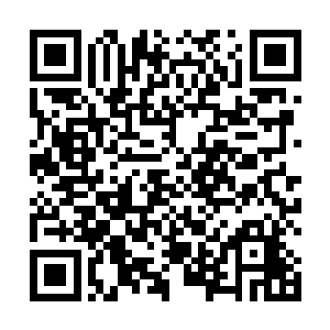 每个水族都能从这条大鲤鱼的眼中看到无法掩饰的惊恐二维码生成