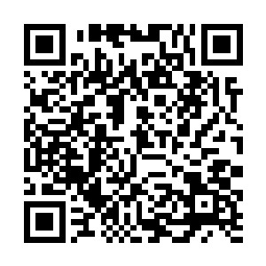 每个猎人每月至少要击杀一名最低等的血族才算合格二维码生成