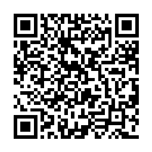 每个精致的瓷杯里边都盛着多半杯黄澄澄的茶水二维码生成