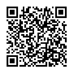 每个被它吞噬的修士大部分的记忆不会被他吞噬二维码生成