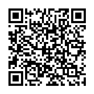 每个门派内的弟子在突破的时候都能在门派内领取一粒二维码生成