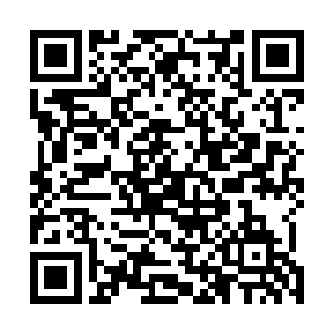 每个sag协议项目都必须优先从sag里雇一定数目的群众演员二维码生成