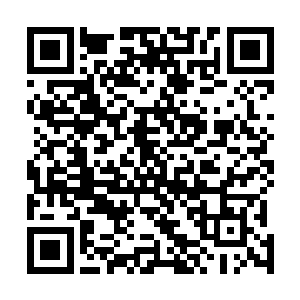 每人都换上由斯宾塞家族提供的重达160多公斤的重装板甲二维码生成