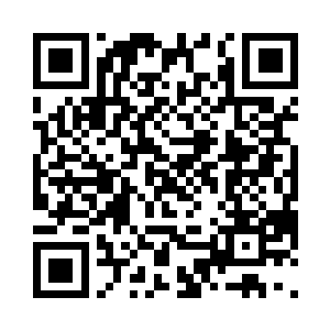 每分每秒都有人因战争和争斗死去一样二维码生成