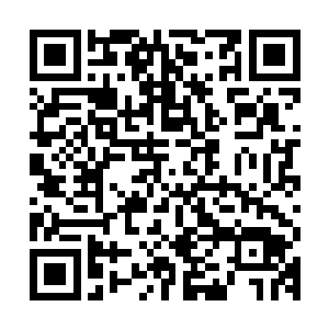 每天一打开电视屏幕或者报纸的版面全是有关这个女孩子的新闻二维码生成