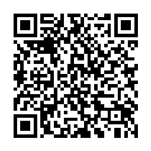 每天发生在这角斗场上的战斗也就是寥寥几百场而已二维码生成