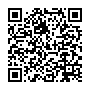 每天只固定的每人按照习惯打几个弹匣保持状态就行二维码生成