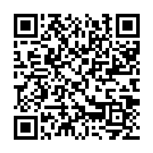 每天在训练基地里只能拍摄不超过半个小时的时间二维码生成