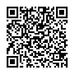 每天就像是个疯子一样的在周围追踪着他和徐敏静二维码生成