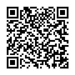 每天必须依靠吸收晶核里面的能量满足修炼的需要二维码生成