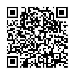 每天林子涛都驮着杨蕊这只胖兔子在山林里四处闲逛二维码生成