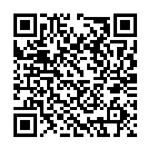 每天的战报都会雪片一样传进洪家居住的区域之内二维码生成