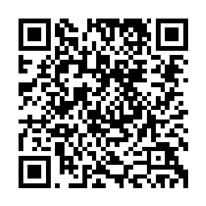 每天睁开眼睛喝了牛奶在接着美美睡个懒人觉这就是她的全部二维码生成